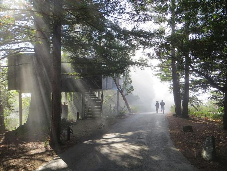 Californien. Lyset er næsten magisk. Læserfoto: Kirsten Skovvang Larsen 