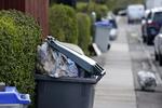 Affaldsviden. Hvis kommuner bliver bedre til at dele data, kan affaldscontainere potentielt blive tømt mere rettidigt. Arkivfoto 
