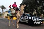BESLÆGTEDE. To forskellige 'køretøjer' til turen gennem ørkenen. Kamelmanden i Egypten ville i øvrigt ikke bytte med Porschen. 