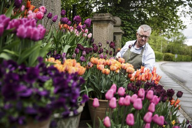 53 år. Grundlagde Forlaget Klematis i 1987 med sin partner, Jaume Ferrer. 