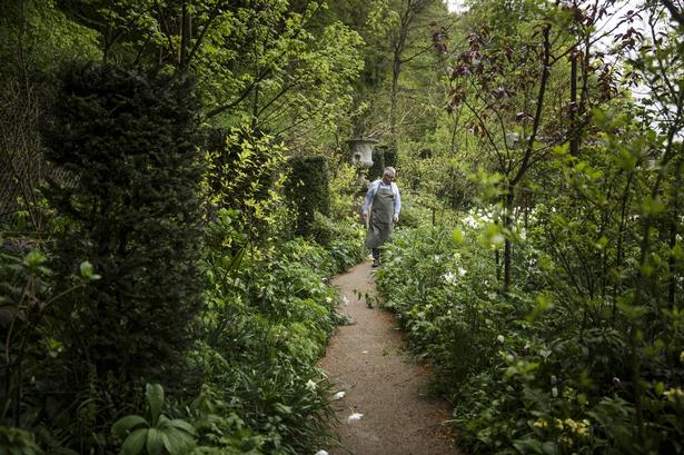 Har lavet adskillige tv-programmer om haver. De første sammen med Anne Just i udsendelserne ’Haven i Hune’. 