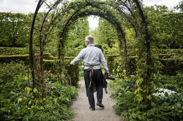 »Søren Ryge skrev engang i en anmeldelse af en af mine bøger: Man kan ikke se haven for blomster«, fortæller Dalby. 