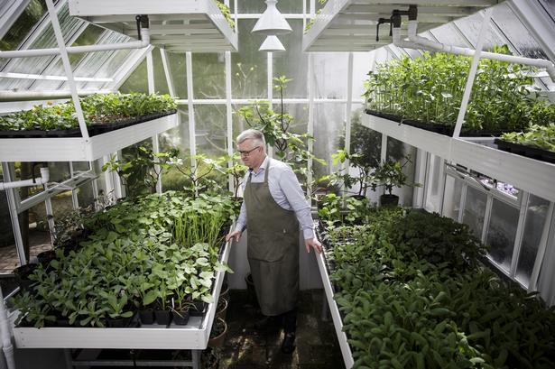 »Jeg prøver at styre, men ikke at overstyre. Den er selvfølgelig menneskeskabt, men den må gerne se naturlig ud«. 