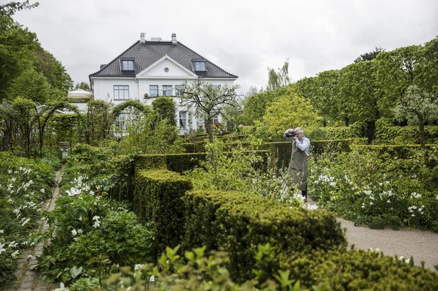 Haven på godt og vel 4.000 kvadratmeter er næsten ét stort blomsterbed, delt op i mindre enheder af takshække og skåret igennem af stier på langs og tværs samt nogle opholdspladser. Blomsterne står så tætpakket, at han i sjov siger, at han skruer planterne ned. 