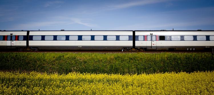 Trafikkaos. Efter en hård uge for passagererne holder alle toge på Sjælland stille fredag formiddag på grund af en sigmalfejl. Billedet er fra sidste uge. 