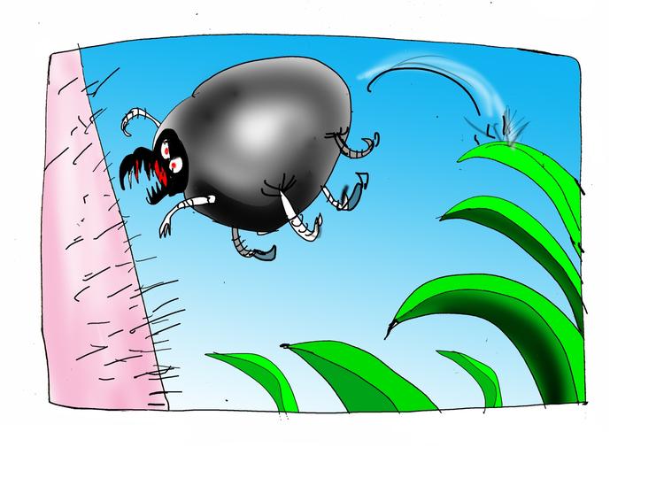 Måltid. Det bedste forsvar mod skovflåten er en tildækket krop. Skulle du alligevel finde en flåt i armhulen, knæhasen eller i skridtet, bør du fjerne den med det samme. 