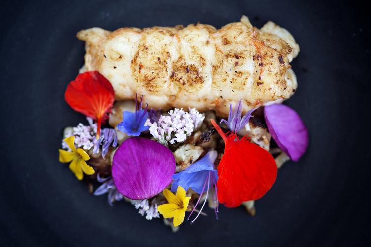 Jomfruhummer og blomster - Restaurant Kadeau Bornholm har begejstret anmelderne, og er nu årets højdepringer på internationale liste. 