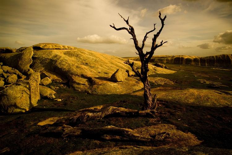 Ændring. Klimakrisen forstærker ekstremerne. I nogle områder er der oversvømmelser, i andre bliver landet udtørret. 