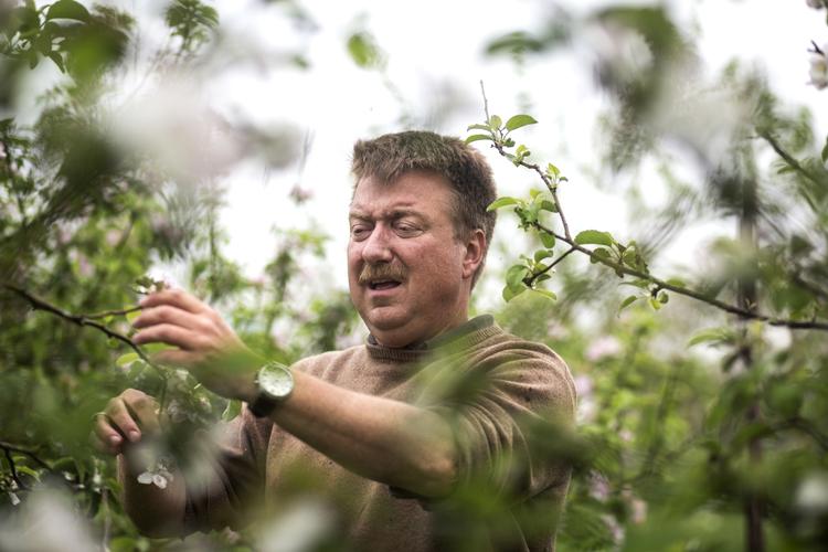 BOOM. Det begyndte som en stilfærdig hobby, da Jens Skovgaard tilbage i 2006 købte en æbleplantage. I dag er han en af landets mest succesfulde frugtvinsproducenter. 
