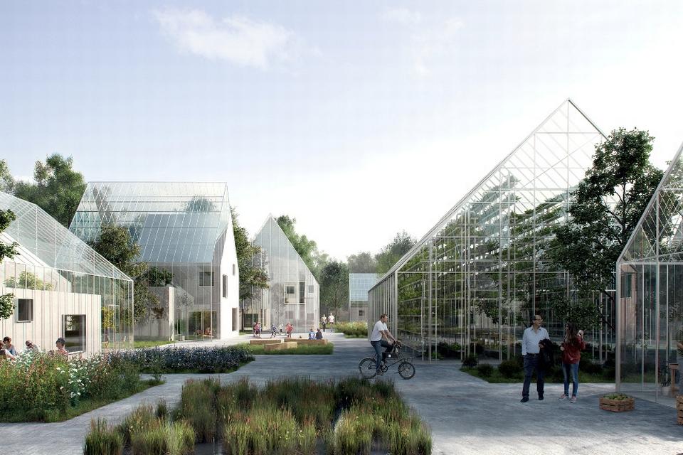 Visualisering - shared space