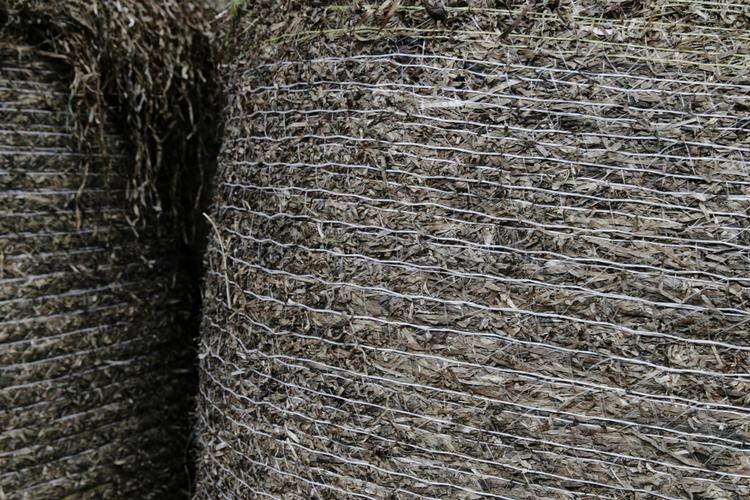 Tang. når tangen driver i land, indsamles den, tørres og bundtes. Ud over at være et godt isoleringsmateriale - kendt fra ikke mindst tanghuse på Læsø - fjernes kvælstof fra vandet, og man undgår, at det ligger og lugter på stranden. Lone Dalgas Rasmussen og Jens Wedele Petersen baserer en del af deres levevej på gården Koster Færgegaard på tangproduktion. Foto: Miriam Dalsgaard 