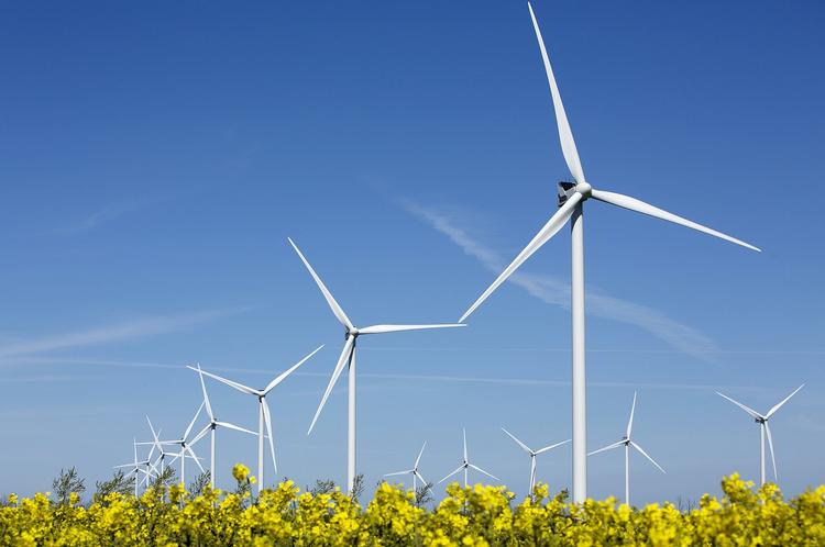 Arbejdsmiljø. Vindmøller kan se flotte ud i landskabet, men produktionen af vindmøller foregår ved hjælp farlig kemi. 