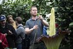 Overvældet. Rasmus N. Kloster er gartneren, der har fået den store blomst i flor efter at have passet den i ni år. 