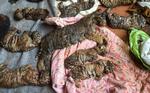 Døde. De 40 døde tigerunger blev fundet i en fryser nær klostrets køkkenområde. 