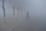 CHINA-HEBEI-FOG(CN)