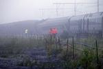 Belgium Train Collision