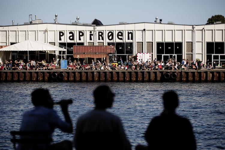 Dimensioneret. Papirøen i København skal have svømmehal, foreningslokaler og et kunstcenter, mener hovedstadens kulturpolitikere, som dog afviser forslag om kæmpe udstillingshal. 