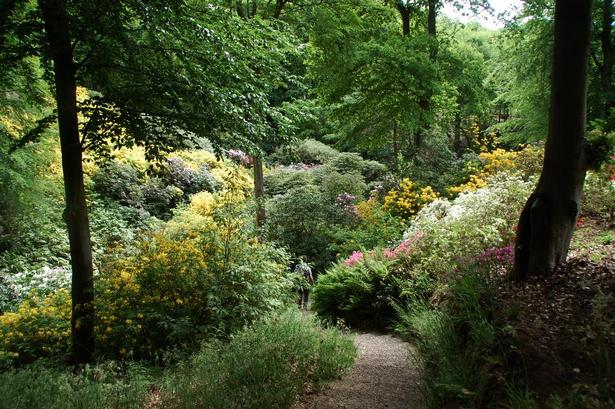 Slugter. Landskabet, som gennemskæres af dybe slugter, er frodig og voldsomt. 