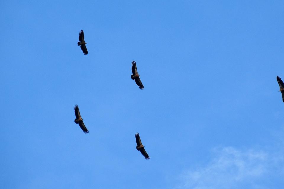 DSC03236