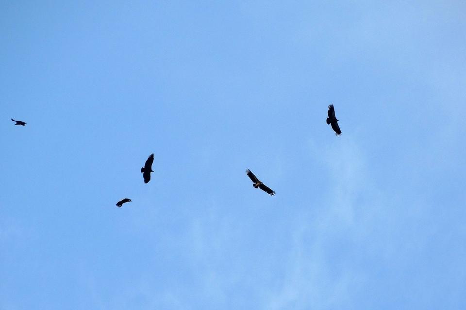 DSC03220
