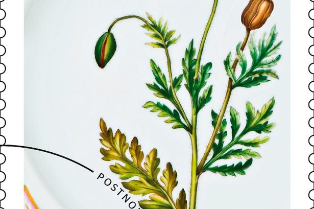 Flora Danica. Stellet er fra 1700-tallet og er det mest eksklusive stel fra Royal Copenhagen. Stellet betragtes som verdens største eksisterende  taffelservice. 