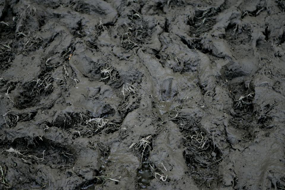 Jonathan Bjerg Møller