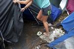 Campingliv på Roskilde
