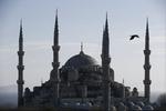 TURISTATTRAKTION. I januar i år sprang en selvmordsbomber sig selv og flere andre ihjel foran Sultan Ahmed Mosque, også kendt som Den Blå Moské, i Istanbul. 