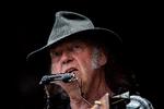 Topkarakter. De fleste anmeldere er enige om at give Neil Youngs koncert på Orange fuld plade. 