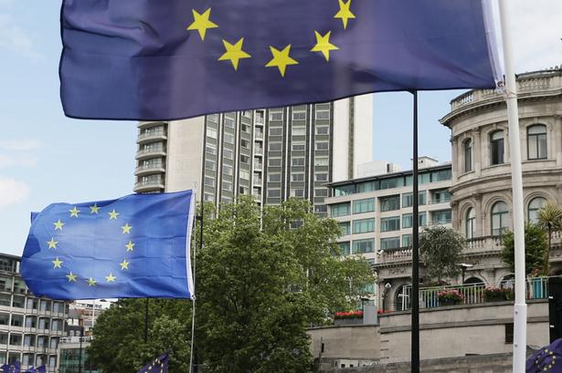 Det europæiske flag var med i demonstrationen foran parlamentet. 
