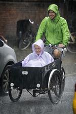 Vejr. Danmark bliver igen udsat for kraftig regn. Her et foto fra søndag. 