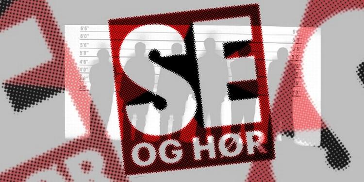BLADSKANDALE. Det, der bliver afgørende under Se og Hør-retsagen er ikke forbrydelsen, men de tiltaltes rolle i det, der skete, forudser juraekspert. 