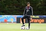 TRÆNER: Chris Coleman (Wales) 