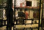 Guantanamo. Selv om Obama har sat skub i processen med at få Guantanamo-fængslet affolket for fanger, er der stadig i dag en del terrormistænkte bag tremmer i det amerikanske, omstridte militærfængsel. 