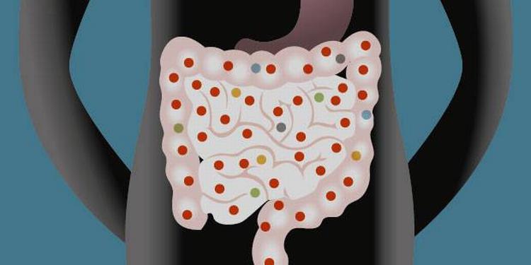 Tarmflora-Diabetes-FORSIDE-620-PX