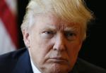 Kandidat. Donald Trump bliver i næste uge officielt nomineret som republikanernes præsidentkandidat. 