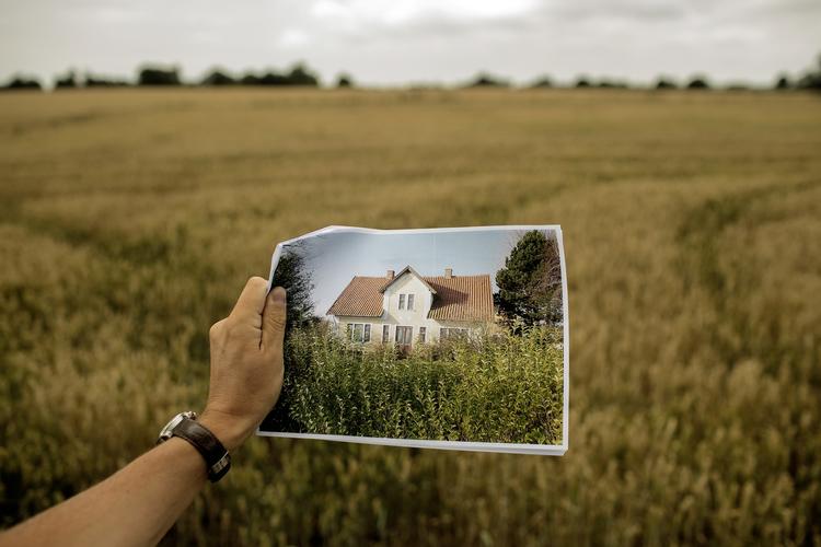 Fornyelse. Ind til sidste år lå det gule hus omgivet vildtvoksende træer og buske, gamle og sammenfalde bygninger på grunden, der nu er en kornmark. 