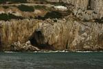 GIBRALTAR. I Gorhams grotte er der fundet beviser for, at neandertalerne levede i Europa så sent som for 24.000 år siden, efter at de antages at være uddøde andre steder i Europa. 