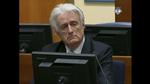 Netherlands War Crimes Karadzic