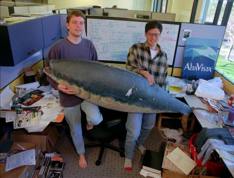 David Filo (til venstre) og Jerry Yang (til venstre) grundlagde i 1995 Yahoo. Nu er virksomhedens kerneforretning solgt for 5 millarder dollar. 