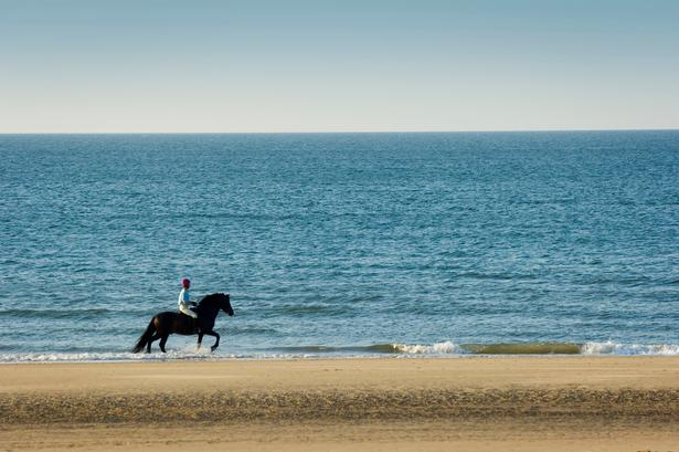 Holkham Beach. Her er vi i Norfolk, som er området nordøst for London. Stranden er lang og indbydende, og det var her, der blev lavet optagelser af Gwyneth Paltrow i filmen 'Shakespeare in Love'. Det kan ofte være meget blæsende her. 