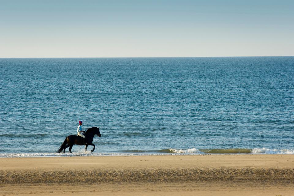 Holkham Beach. Her er vi i Norfolk, som er området nordøst for London. Stranden er lang og indbydende, og det var her, der blev lavet optagelser af Gwyneth Paltrow i filmen 'Shakespeare in Love'. Det kan ofte være meget blæsende her. 