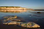 Botany Bay. Denne kyststrækning  i Kent ligger ikke så langt fra 'The white cliffs of Dover', og inde i landet er der ikke langt til Canterbury med den berømte katedral. Botany Bay har dog også sine egne hvide klipper. Der er også store søjleformede klipper på selve stranden. Her skal man i øvrigt holde godt øje med tidevandets kommen og gåen. 