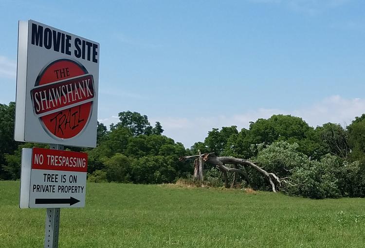 Faldet. Egetræet, som stod på privat grund i Lucas Ohio, blev årligt besøgt tusinder af menensker, siger de lokale tursitmyndigheder til New York Times. 