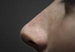 Beskyttelse. 5-10 procent har den bakterie boende i næsen, som ifølge de internationale forskere udgør en slags naturlig beskyttelse mod stafylokok-infektioner.Foto: Miriam Dalsgaard. 