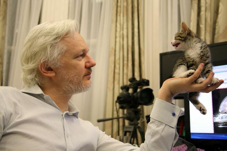 POLITISK. Wikileaks stifter, Julian Assange, håber at påvirke den amerikanske valgkamp fra Ecuadors ambassade i London, hvor han har søgt tilflugt i næsten fire år. 