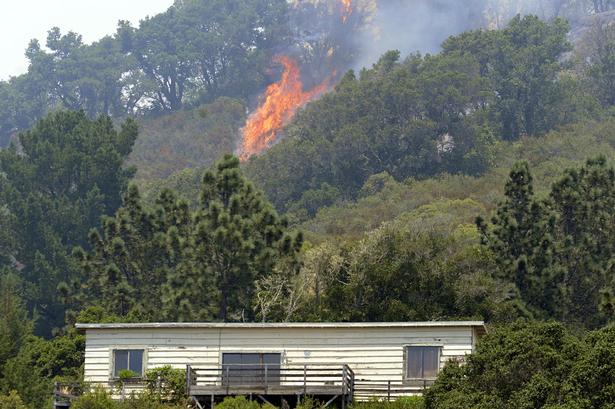 Flammerne lurer i bakkerne. Ingen ved, hvor de bevæger sig hen. 