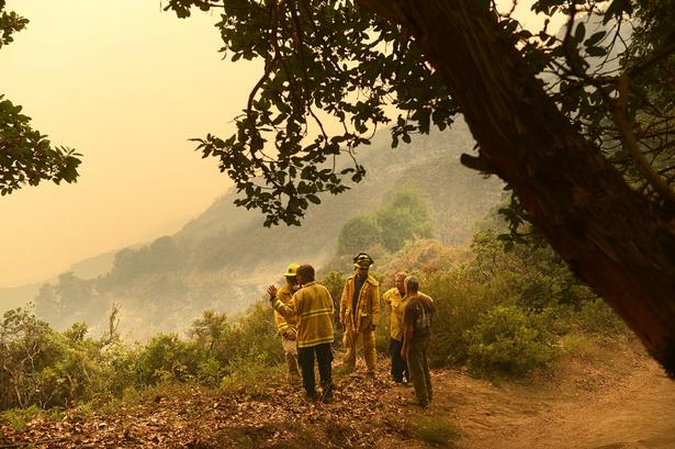 Branden skal bekæmpes i uvejsomt terræn. 