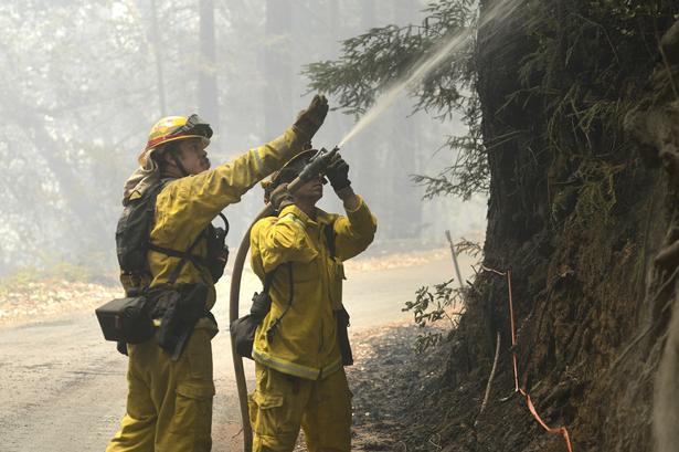 RUTINE. Californiens brandkorps er vant til at bekæmpe store skovbrande. Alligevel ventes branden først slukket om en måned. 