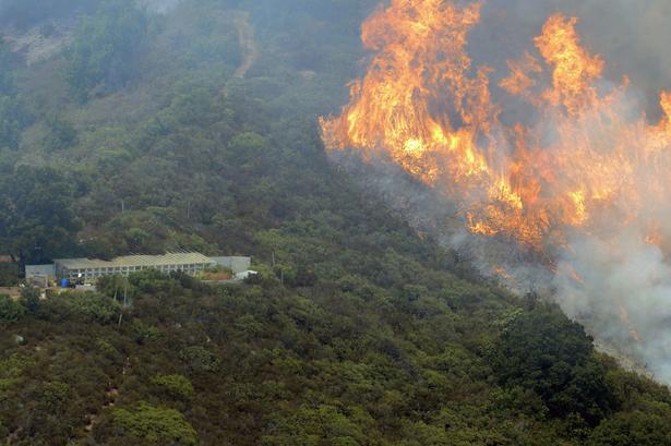 HÆRGEN. Skovbranden syd for San Francisco breder sig kraftigt. Vegetationen er knastør i det idylliske område ved Big Sur. 